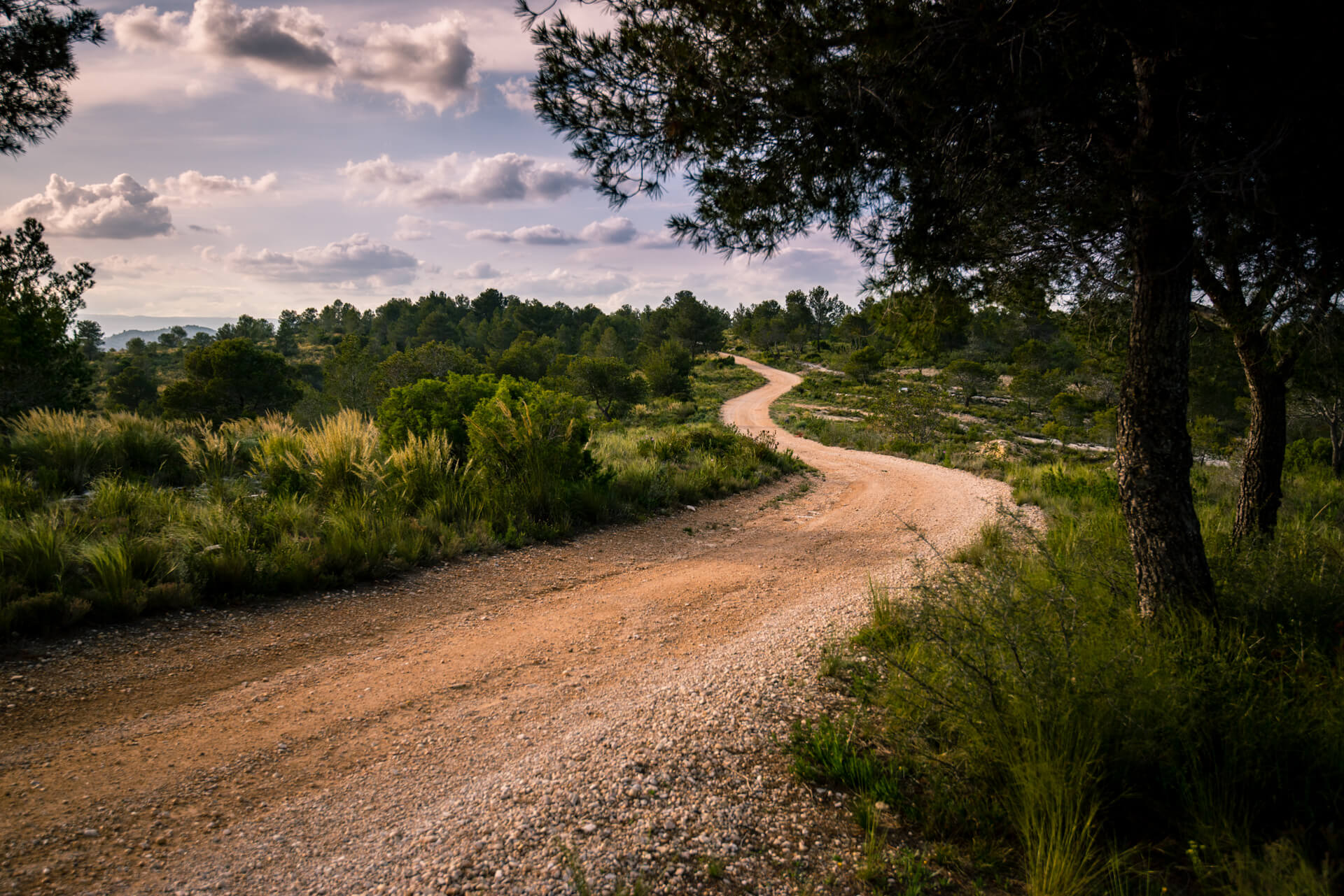 Camino de la Ceja en la montaña de Sumacàrcer
