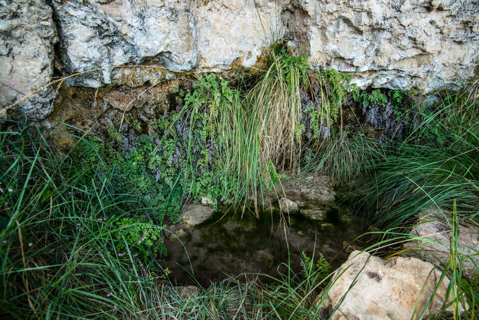 Fuente de Bartolo en Sumacàrcer SL-CV 17