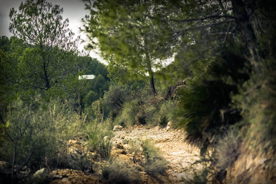 Itinerario señalizado en la senda Vedà de Sumacàrcer, SL-CV 17.1