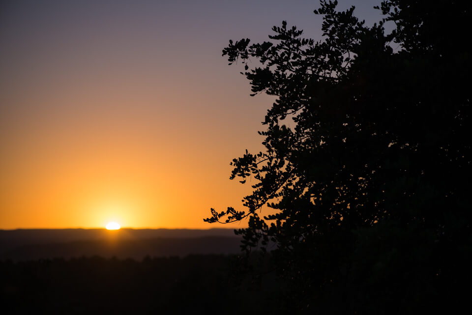 Puesta de sol y cultivos de algarrobo en el la Canal de Navarrés desde el alto de Sumacàrcer