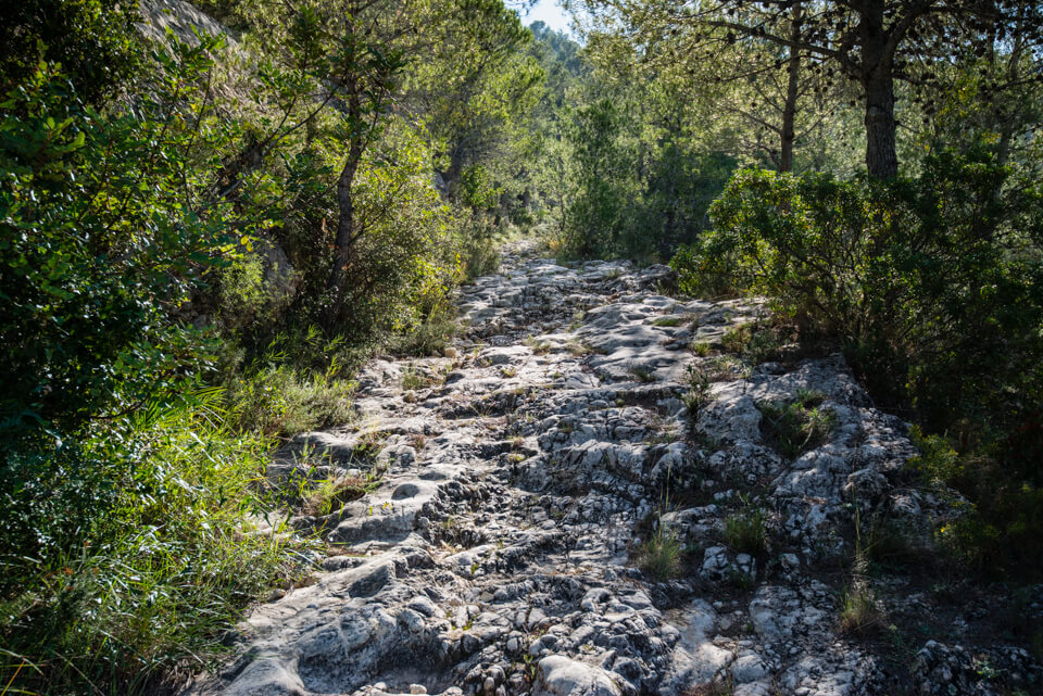Subida de la senda de la Costa de Sumacàrcer, SL-CV 17