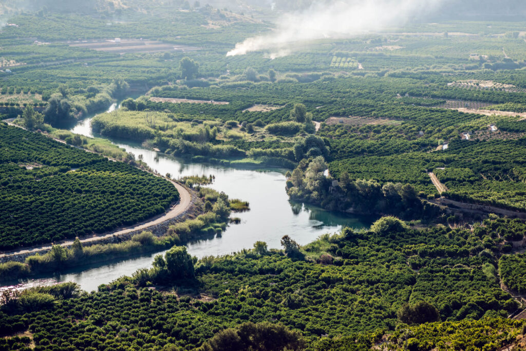 Paisaje de La Ribera del Júcar y cultivos de naranjos desde el Castillo de Penyarroja