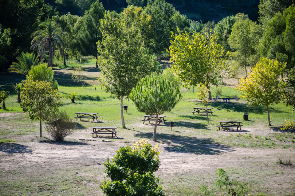 Área recreativa de la isla de l'Argoletja del río Júcar