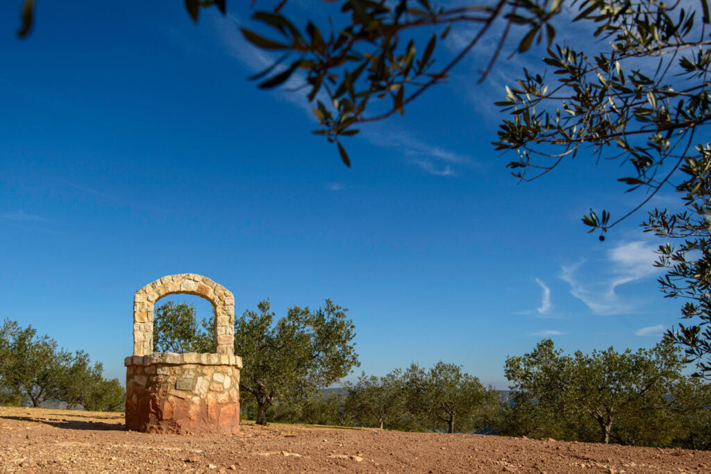 Campo de olivos y pozo en el Alto de Sumacàrcer