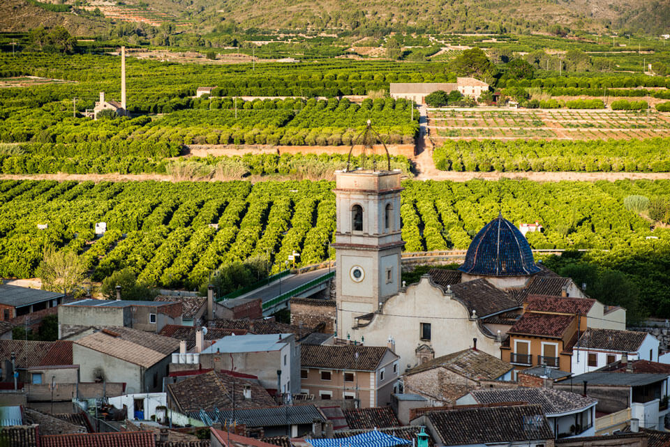 Sumacàrcer y cultivos de naranjos